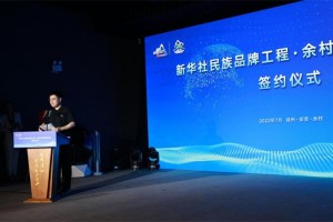 恒星引力与新华社民族品牌工程签署合作协议 影视行业品牌地位受肯定